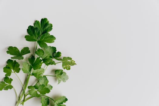 A close-up of fresh parsley leaves arranged on a white minimalistic background.