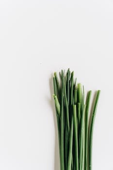 Fresh chives arranged on a white background, showcasing their vibrant green color.