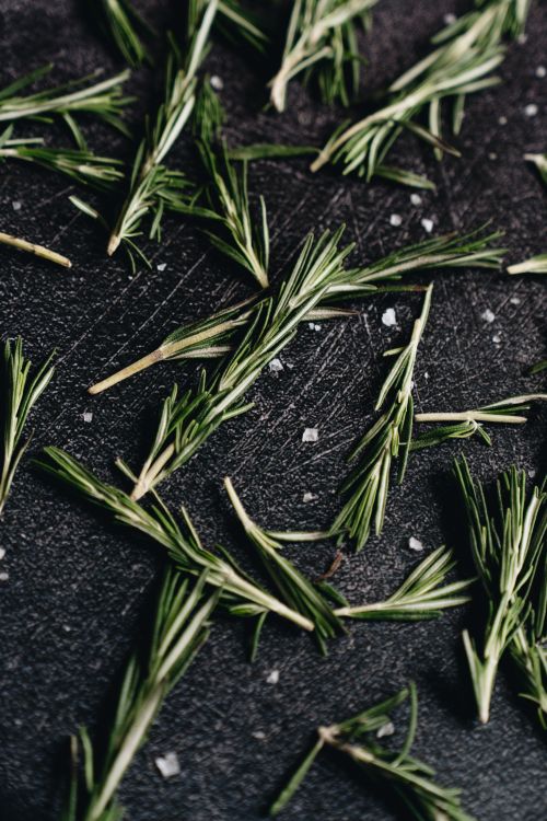 Free Close-up of fresh rosemary sprigs scattered on a textured black surface with sea salt. Stock Photo