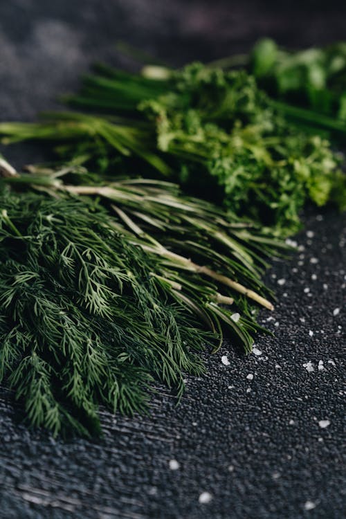 Free Close-Up Photo Of Assorted Herbs Stock Photo