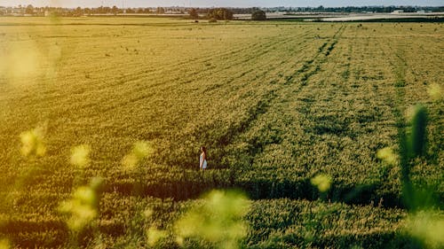 Woman Standing on Field