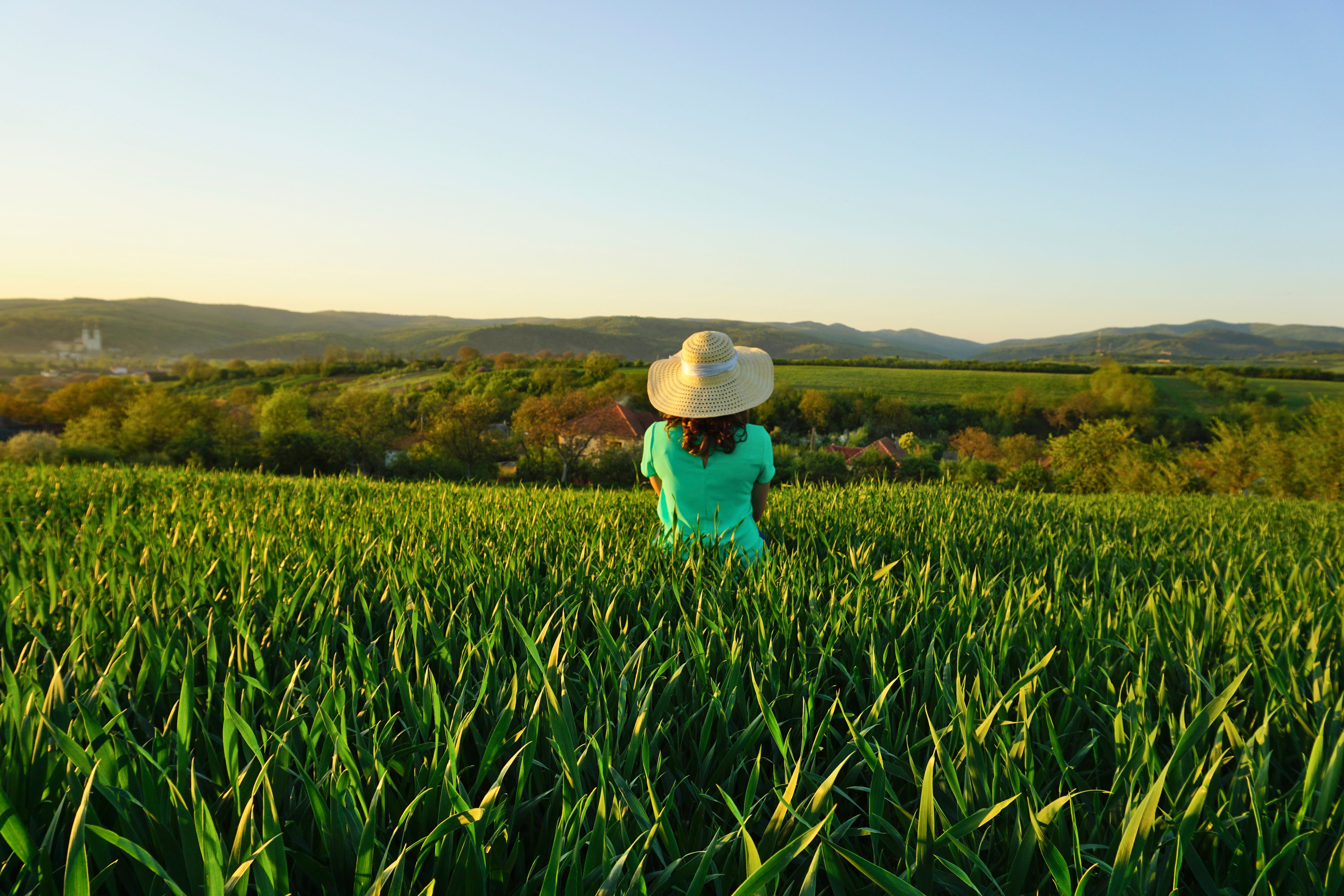 Woman in Hat Standing in Green Field · Free Stock Photo