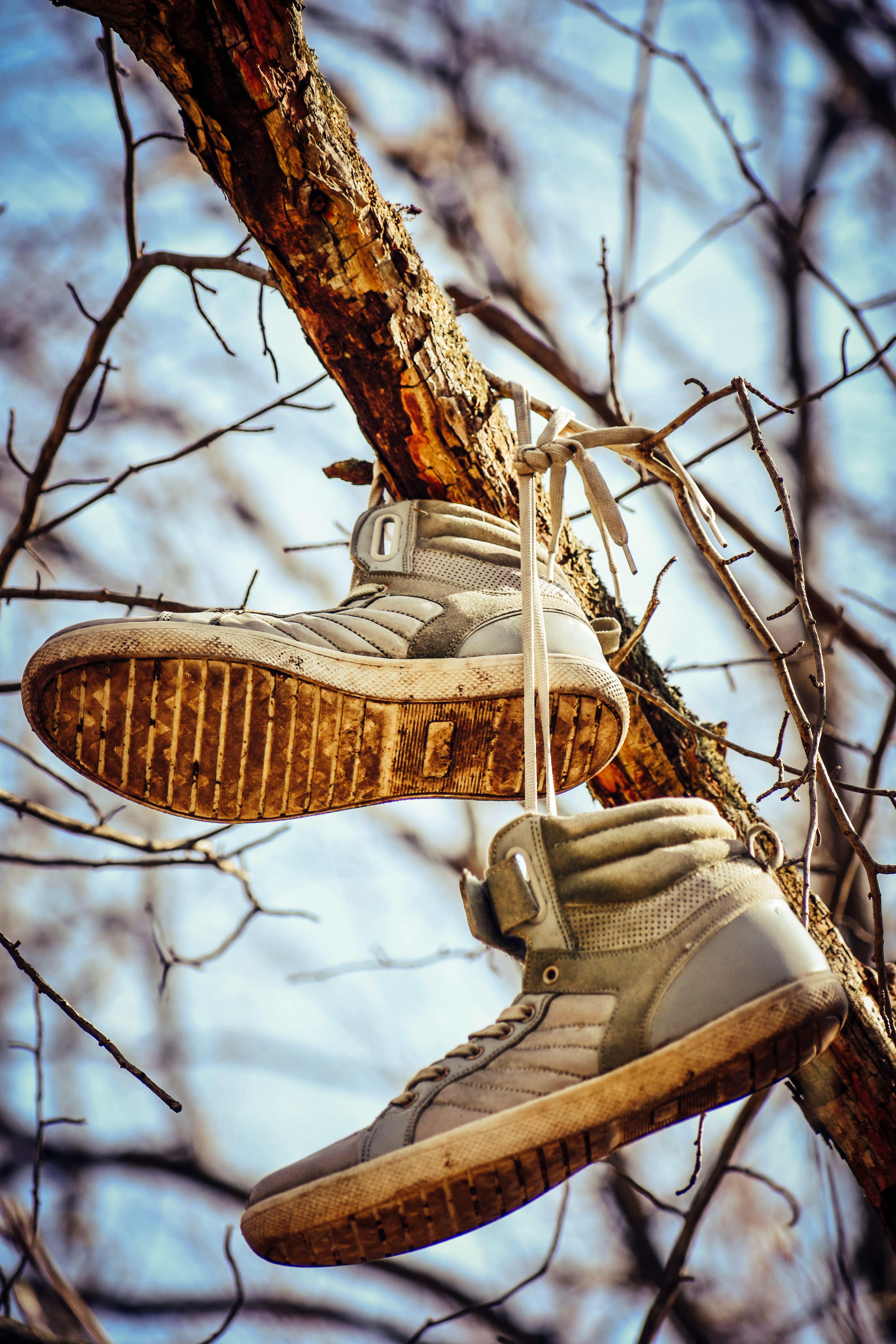 Broken Shoes Photos, Download The BEST Free Broken Shoes Stock Photos