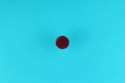 Red and Black Ball on Blue Surface