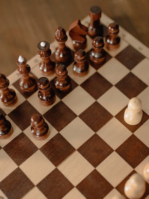 Free Chess Pieces on Chess Board Stock Photo