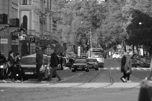Free Black and white automobiles in front of dotted line on asphalt and pedestrians walking across road in city Stock Photo