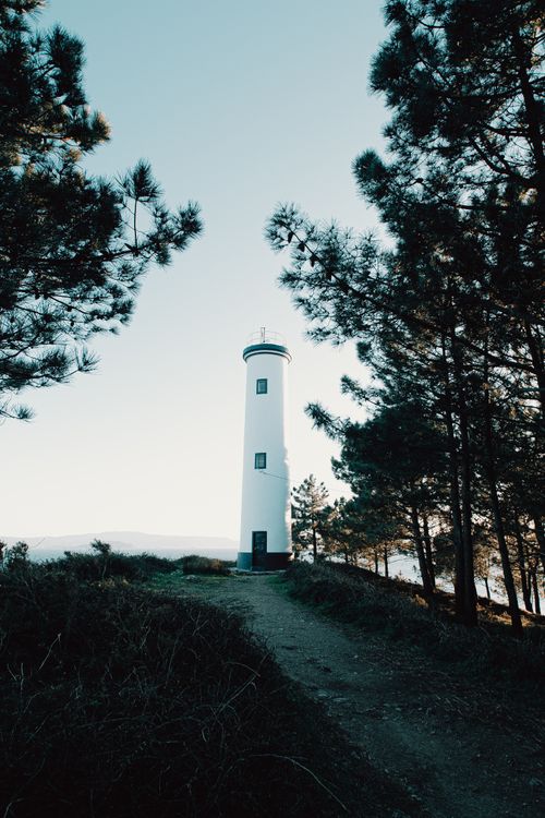 Free From below of solitude footpath to white high lighthouse surrounded by trees in daylight Stock Photo