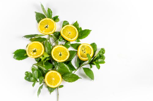 Free Vibrant lemon slices and green leaves arranged on a white background, perfect for fresh and natural themes. Stock Photo