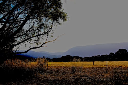 Бесплатное стоковое фото с горы, забор, лес