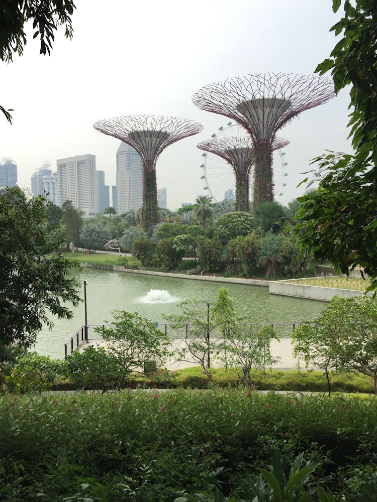 Futuristic City Park With Artificial Trees