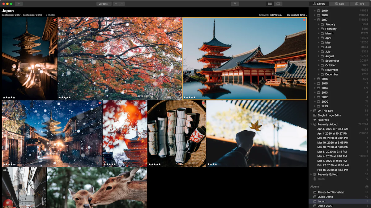 Découvrez Luminar Neo : le logiciel de retouche photo basé sur l'IA en 2024