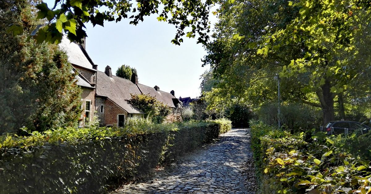 A scenic cobblestone path lined with hedges in a picturesque village in Leuven, Belgium.