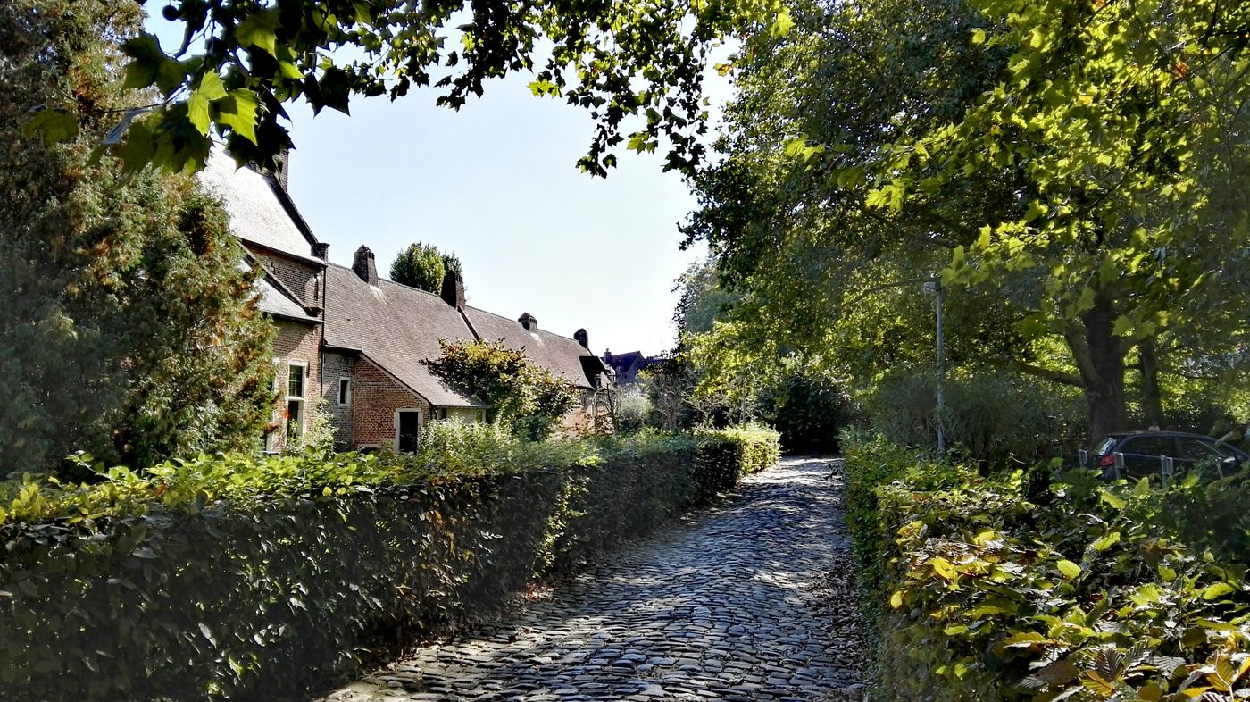 Dijle River Path near Wijgmaal