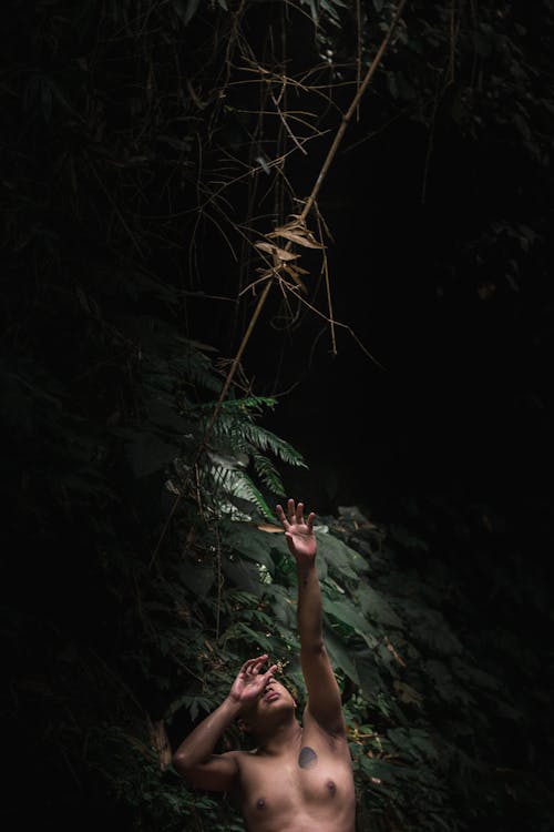 A Shirtless Man with his Arms Raised near Foliage