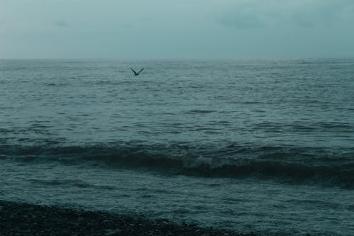 Безкоштовне стокове фото на тему «атмосфера, вечір, море»