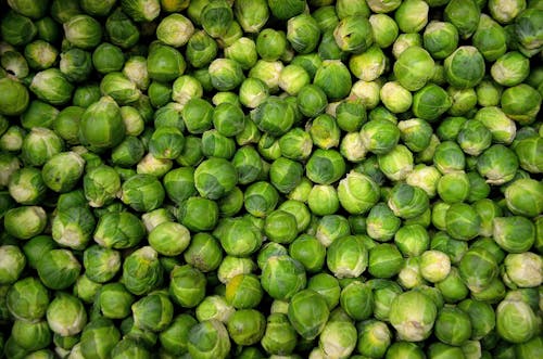 Free Green Round Vegetables Stock Photo