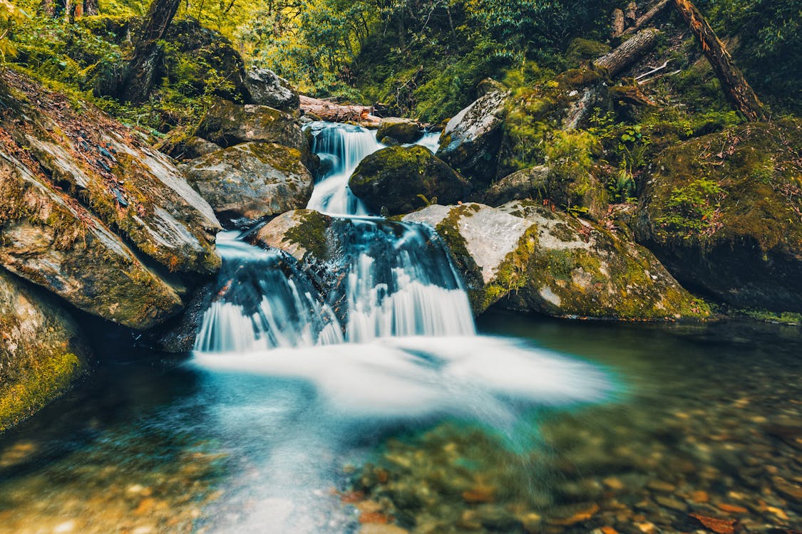 Fotos de stock gratuitas de agua, al aire libre, arboles