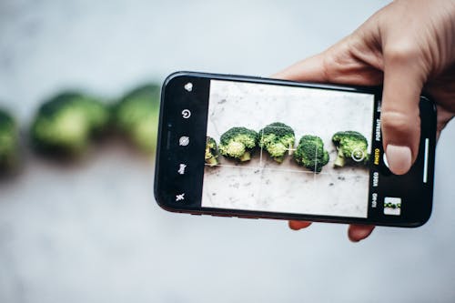 Free Hand Taking Picture of Vegetables Stock Photo