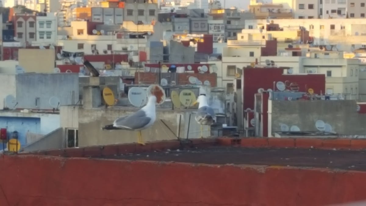Bowl of Mediterranean bean and vegetable stew with herbs and olive oil