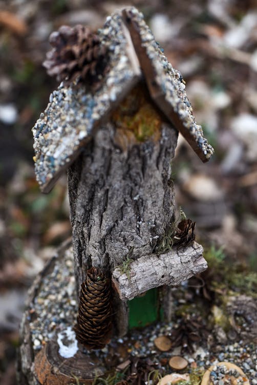 From above of handicraft house made of log with pine cones placed on stub in woods