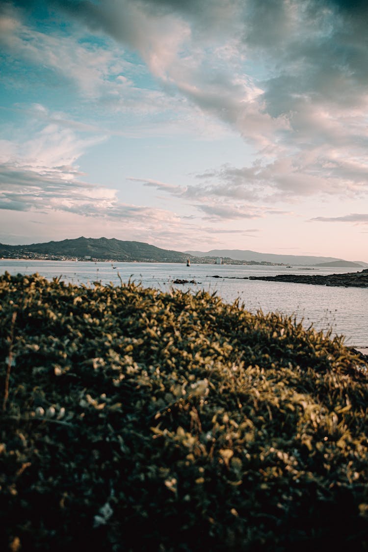 Grassy Hill Against Sea Bay In Sunlight