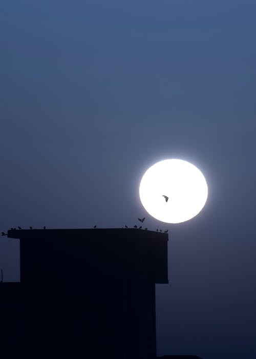 Kostnadsfri bild av fullmåne, kväll, måne