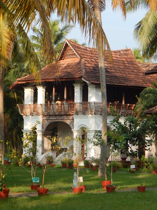 Villa with green meadows in tropics