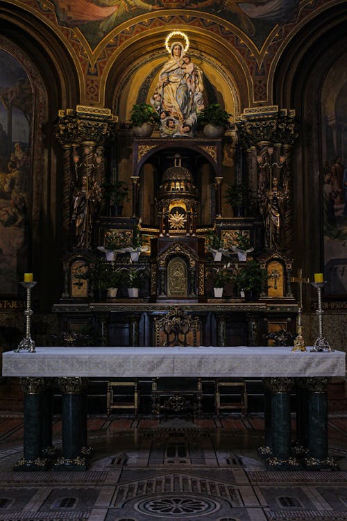 Fotobanka s bezplatnými fotkami na tému Brazília, interiér kostola, katolícky kostol