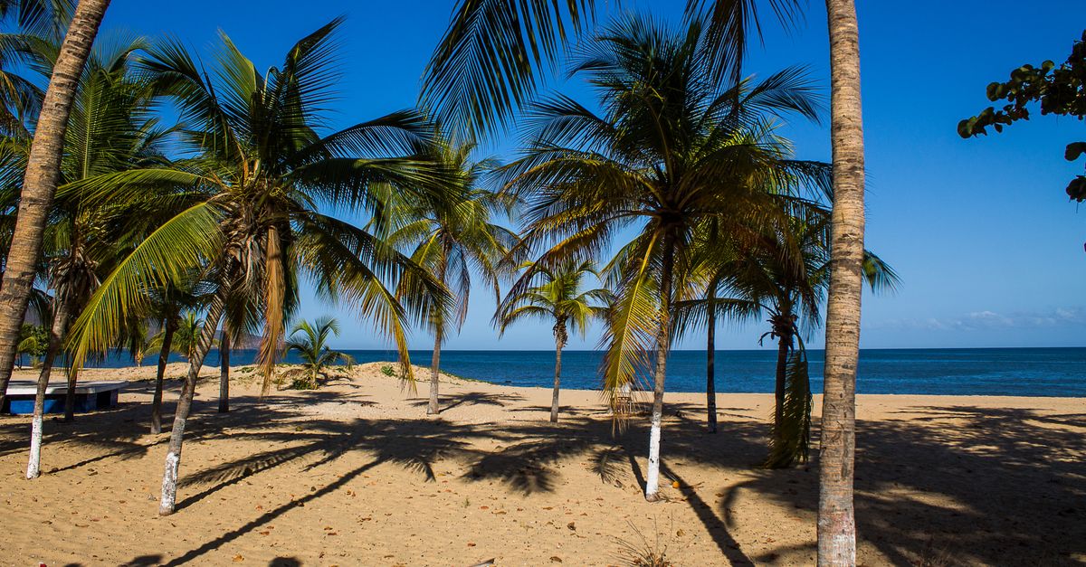 Las playas más turísticas del Caribe y Pacífico hondureño Las playas más turísticas del Caribe y Pacífico hondureño