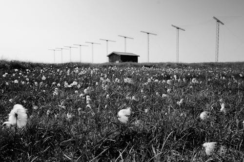 Foto d'estoc gratuïta de a pagès, agricultura, arquitectura