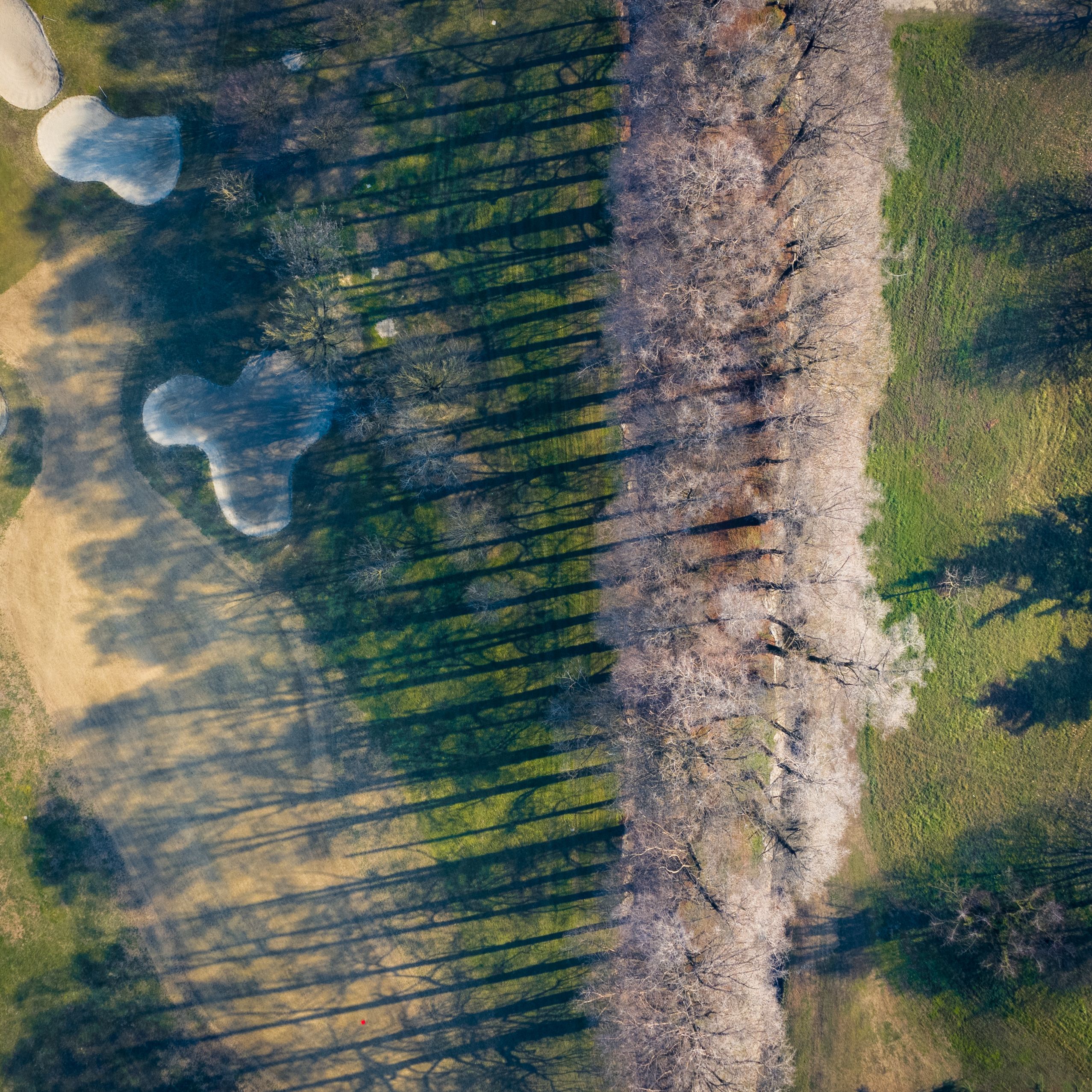 Aerial Shot of a Landscape