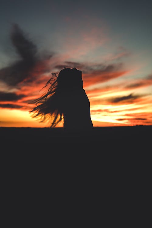 Silhouette of a Woman During Dusk · Free Stock Photo