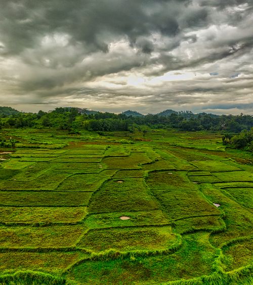 Free Vibrant rice terraces in Rumpin, West Java, Indonesia under dramatic cloudy skies. Stock Photo