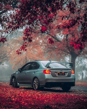 A modern sedan parked under vibrant autumn trees on a foggy day.