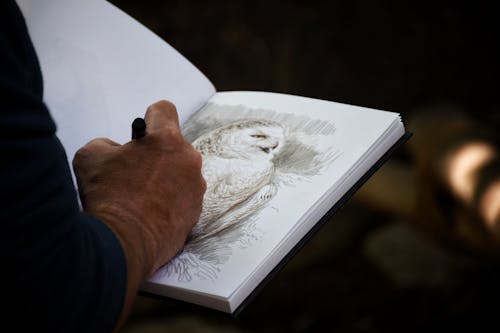 Unrecognizable artist drawing owl in album at home