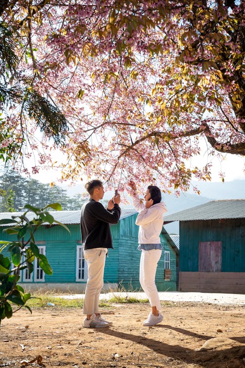 Fotos de stock gratuitas de afecto, al aire libre, amantes