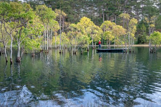 Green trees growing in calm rippling river near forest in sunny summer day