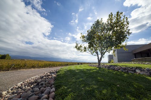 Picturesque view of green lush countryside area with contemporary building and narrow gravel road against blue sky