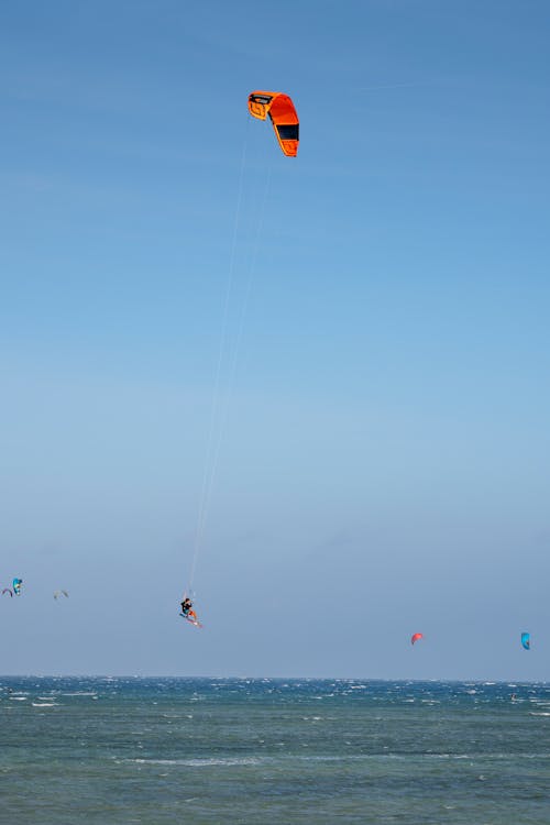 Foto d'estoc gratuïta de , a l'aire lliure, actiu