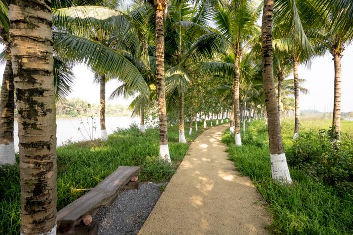 Palm-lined paved approach road