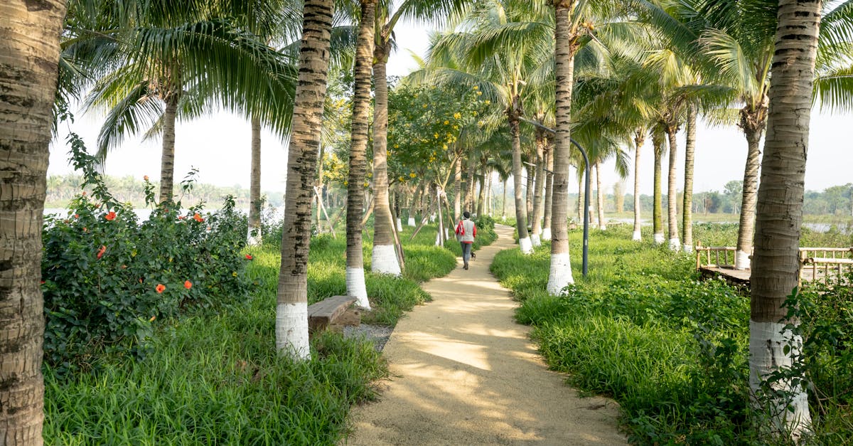 Comment Respecter l'Environnement en Voyage ?