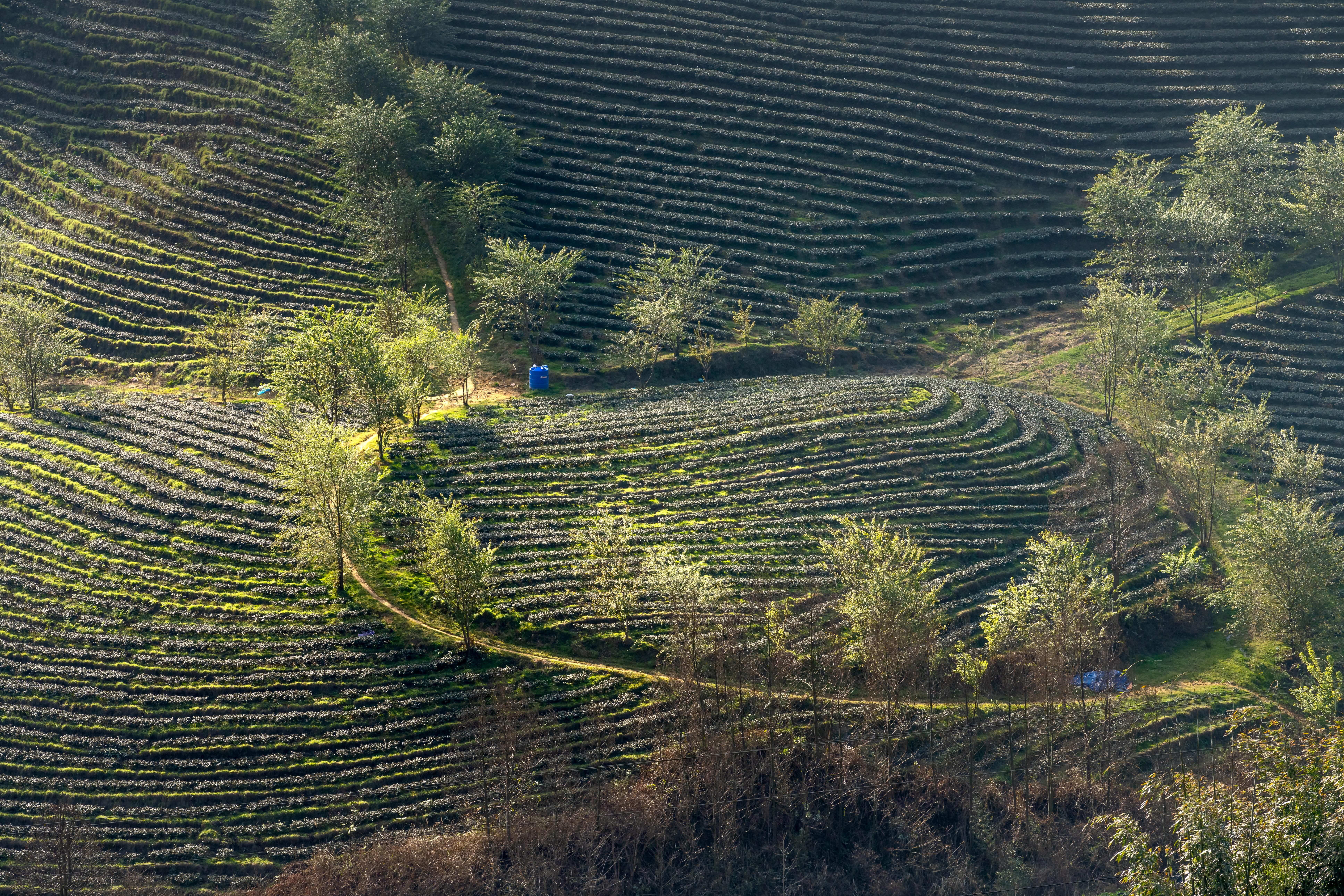 Aerial View Of Agricultural Land · Free Stock Photo