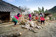 Photo of People Chopping Firewoods
