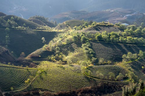 Aerial Photo of Agricultural Land