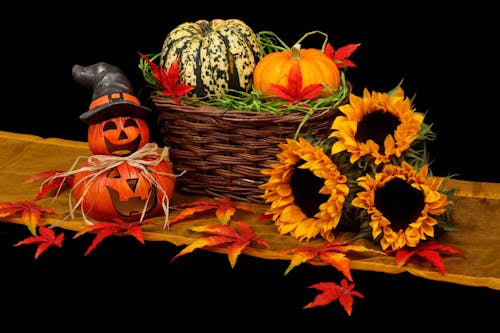 Immagine gratuita di autunno, cadere, carta da parati di halloween