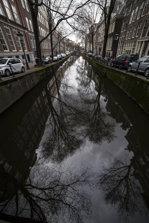 Narrow calm canal water with cobblestone pavement near cozy houses in Amsterdam during overcast day