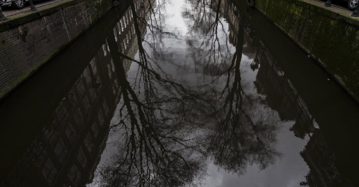 Free stock photo of grey sky, reflection, river