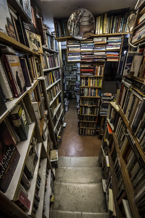 Old fashioned bookstore with aged shelves loaded with assorted various books and magazines