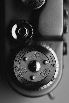 Image by Stanislav Kondratiev