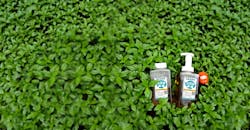 Transparent bottles with liquid beauty products on green grass